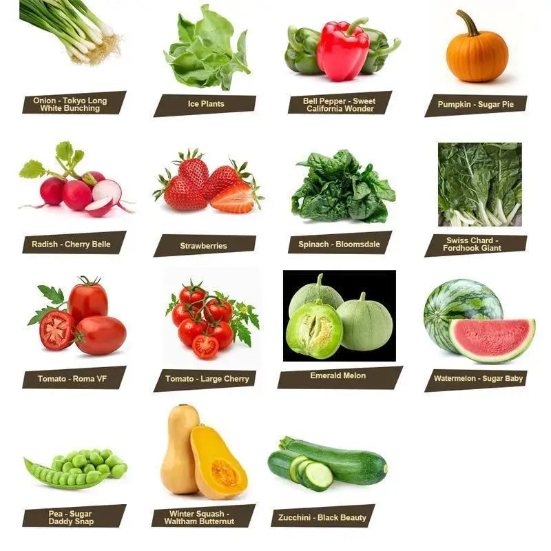 Assorted Heirloom Vegetable Seeds 35 Variety Pack, Durable Seed Vault for Survival & Daily Planting, Natural Non-Gmo Veggie Seeds, Premium Home Garden Gardening Gift Heirloom Seed Kits Mix