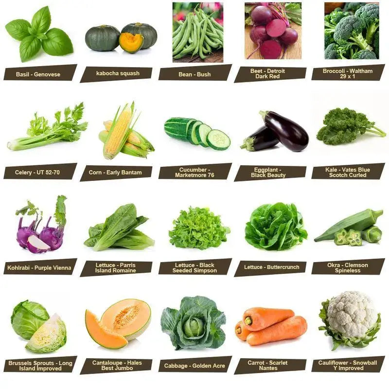 Assorted Heirloom Vegetable Seeds 35 Variety Pack, Durable Seed Vault for Survival & Daily Planting, Natural Non-Gmo Veggie Seeds, Premium Home Garden Gardening Gift Heirloom Seed Kits Mix