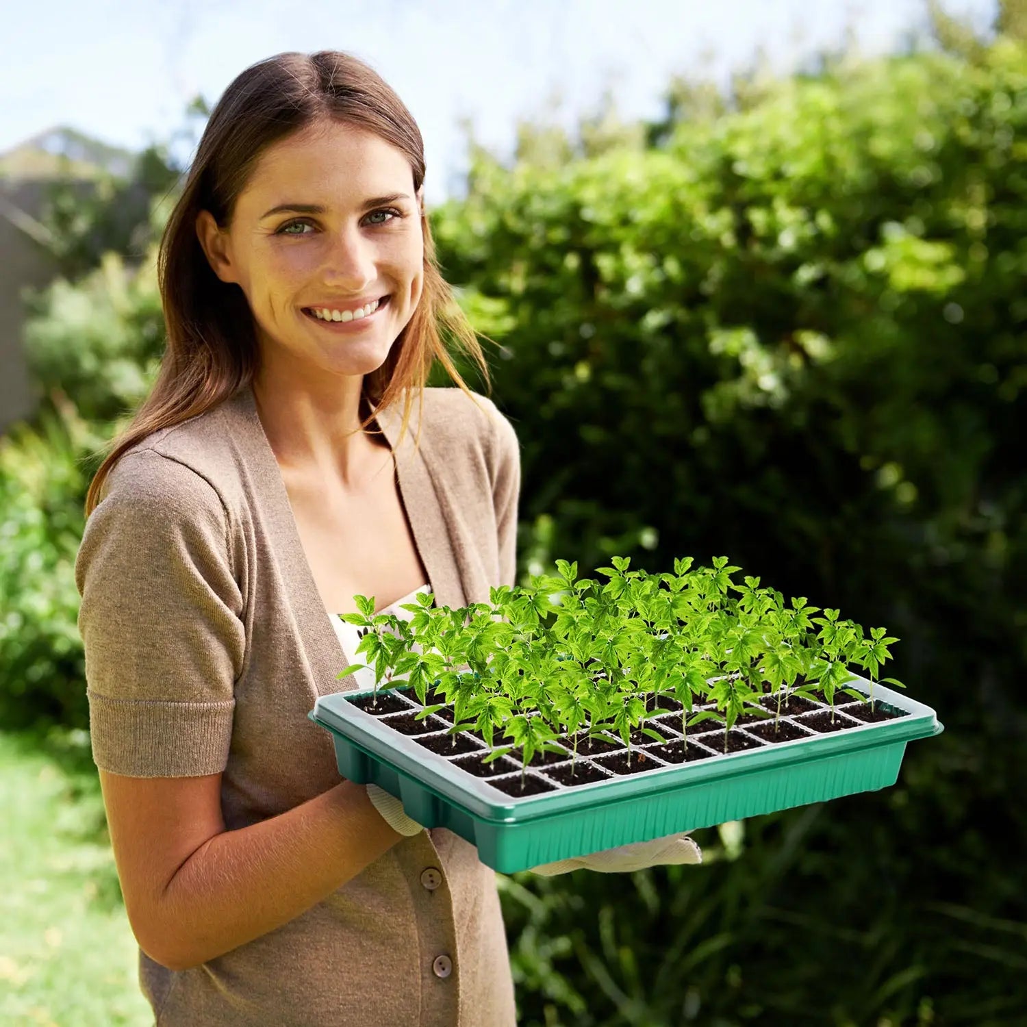 All-In-One Seed Starter Kit