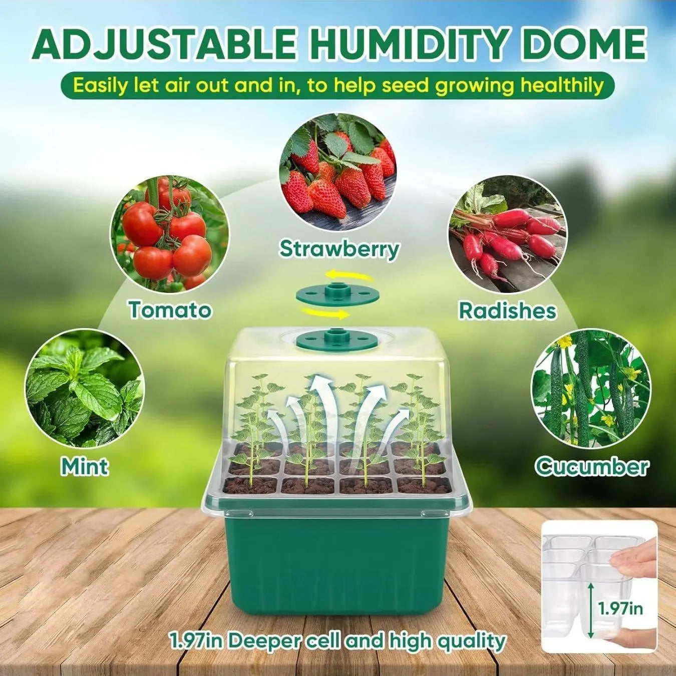 Plant Germination Tray with USB Powered Grow Light, Reusable Seed Germination Tool Set, Adjustable Humidity Seed Starter Tray, Growing Kit for Home Garden, Indoor Gardening System, Gardening Supplies