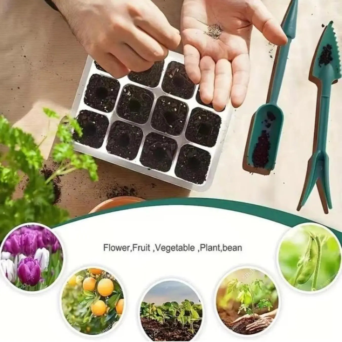 Plant Germination Tray with USB Powered Grow Light, Reusable Seed Germination Tool Set, Adjustable Humidity Seed Starter Tray, Growing Kit for Home Garden, Indoor Gardening System, Gardening Supplies