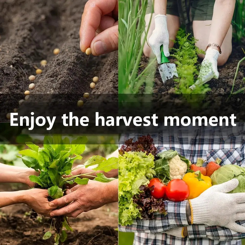 Assorted Heirloom Vegetable Seeds 35 Variety Pack, Durable Seed Vault for Survival & Daily Planting, Natural Non-Gmo Veggie Seeds, Premium Home Garden Gardening Gift Heirloom Seed Kits Mix